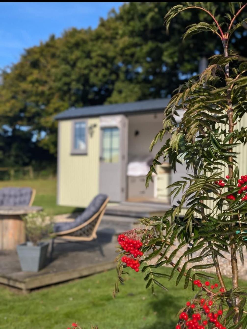 Holiday home Tolverne Luxury Shepherd's Hut *